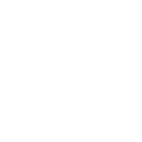 活动